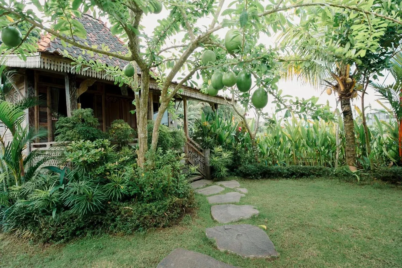 Nauna Villa Ubud Indonesia