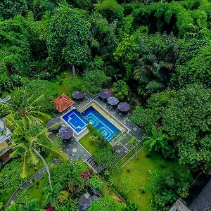 Holiday park Alas Petulu And